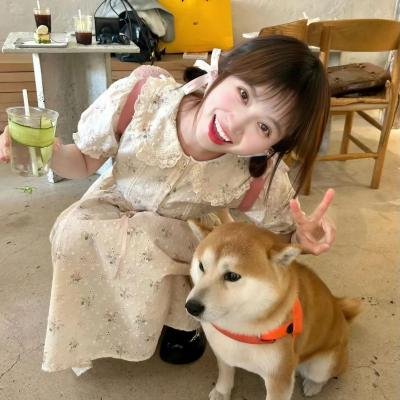 情来.算尽爱